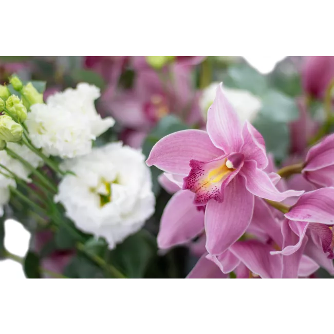 Kytice růžových květů